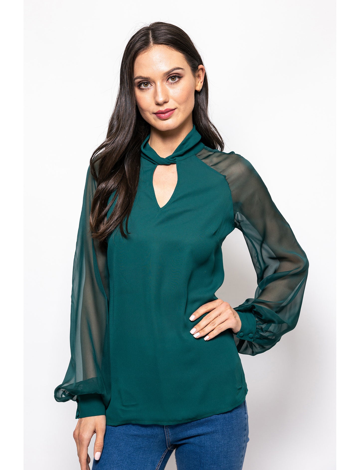 The Trendsetter Sheer Sleeves Dakota Blouse
