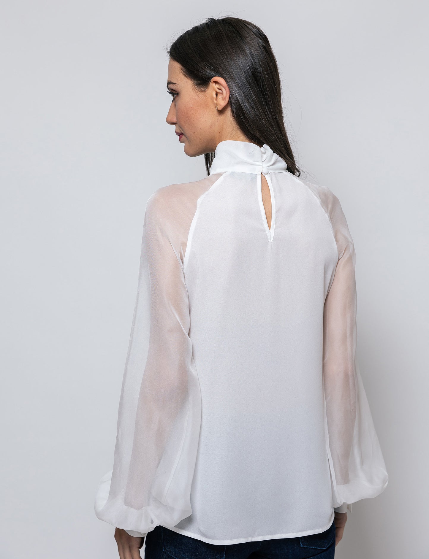 The Trendsetter Sheer Sleeves Dakota Blouse