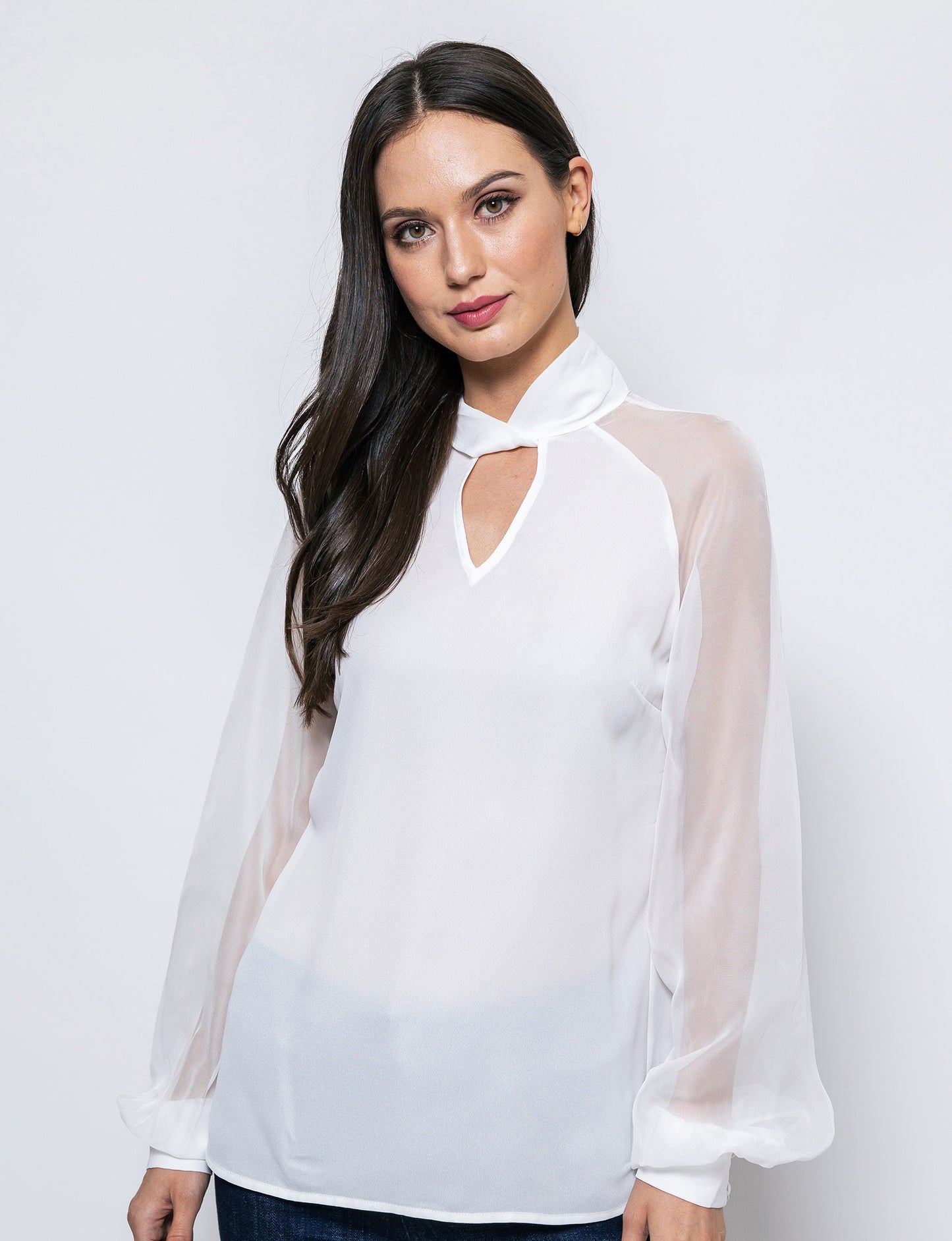 The Trendsetter Sheer Sleeves Dakota Blouse