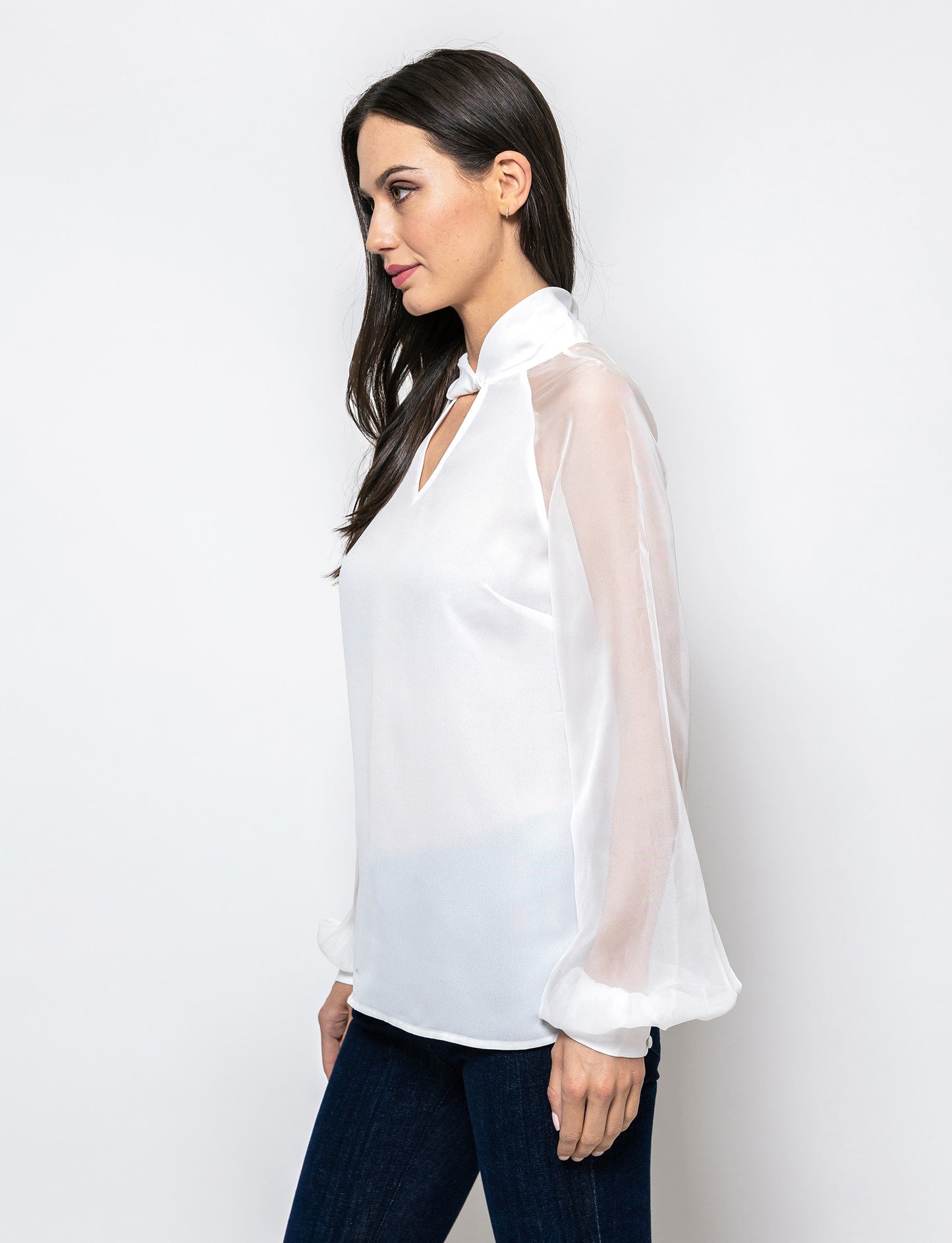 The Trendsetter Sheer Sleeves Dakota Blouse