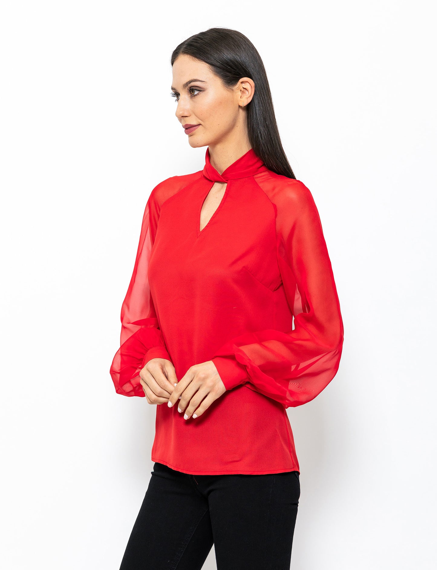 The Trendsetter Sheer Sleeves Dakota Blouse